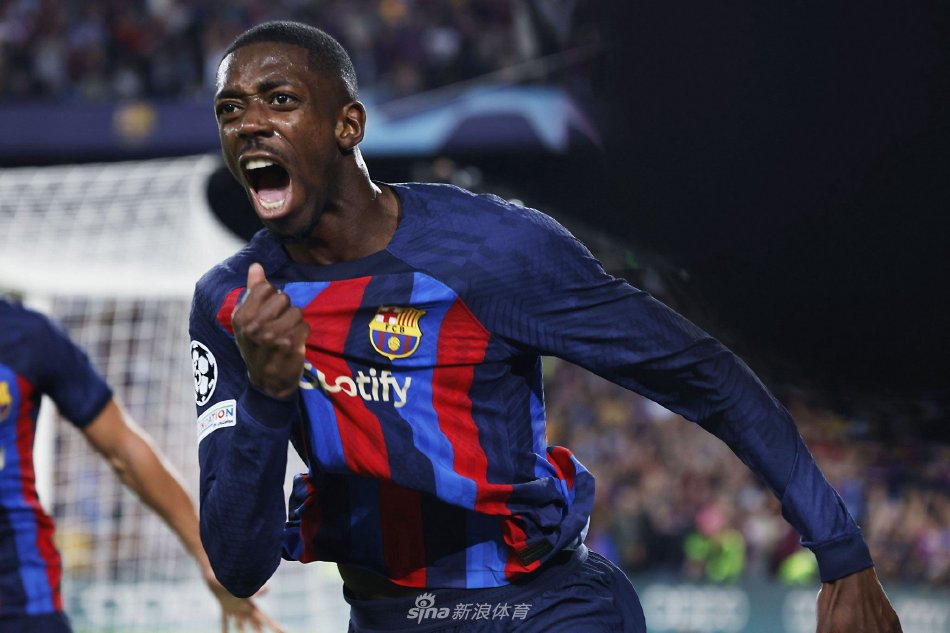 他们以强劲 他们以强劲