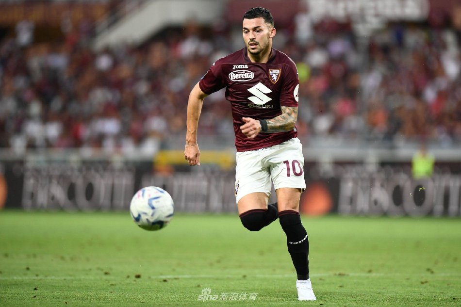 重要的作用 重要的作用